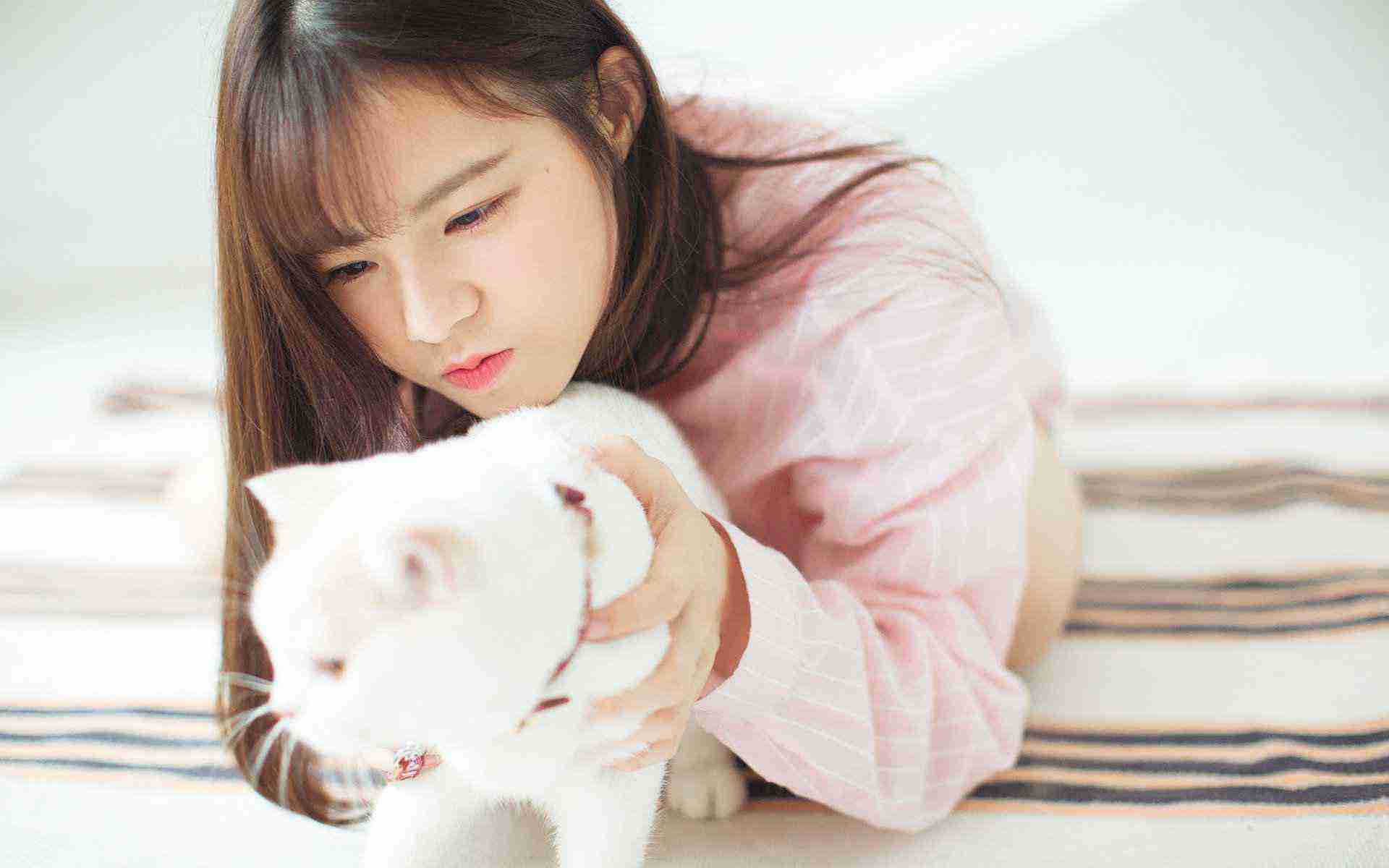 六六电影院在线剧集情详解 - 97视频